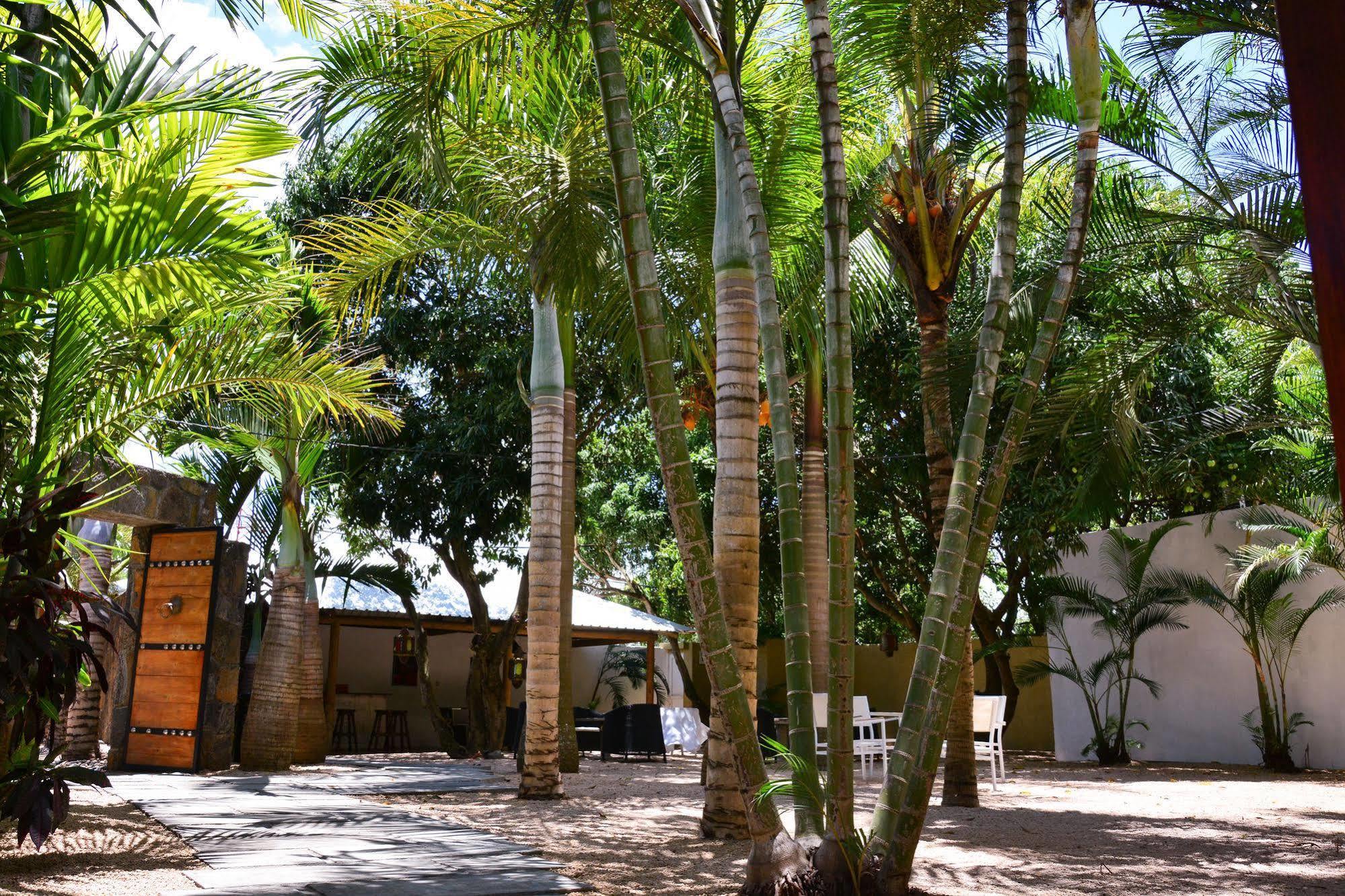 Hotel La Margarita Pointe aux Piments Exterior foto